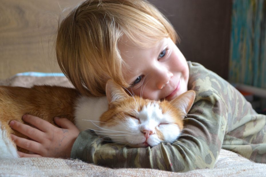 gatti e bambini