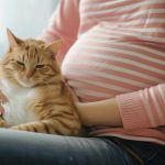 gatto e mamma in gravidanza