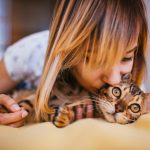 scegliere un cat sitter